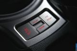 2013_brz_089.jpg