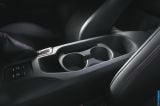 2013_brz_091.jpg