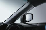 2013_brz_093.jpg