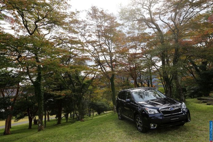2014 Subaru Forester - фотография 43 из 134