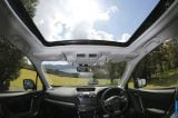 2014_forester_072.jpg
