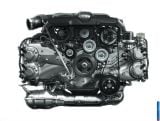 2014_forester_074.jpg