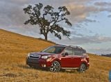 subaru_2014_forester_us_version_048.jpg