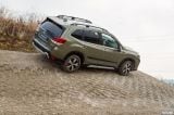 subaru_2019_forester_e_boxer_017.jpg