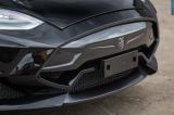 larte-design_2015_tesla_model_s_elizabeta_052.jpg