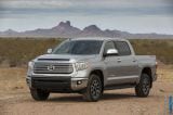 2014_tundra_009.jpg