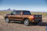 2014_tundra_013.jpg
