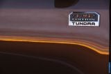 2014_tundra_038.jpg