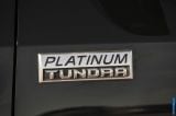2014_tundra_039.jpg