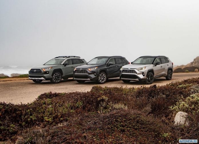 2019 Toyota RAV4 - фотография 43 из 108