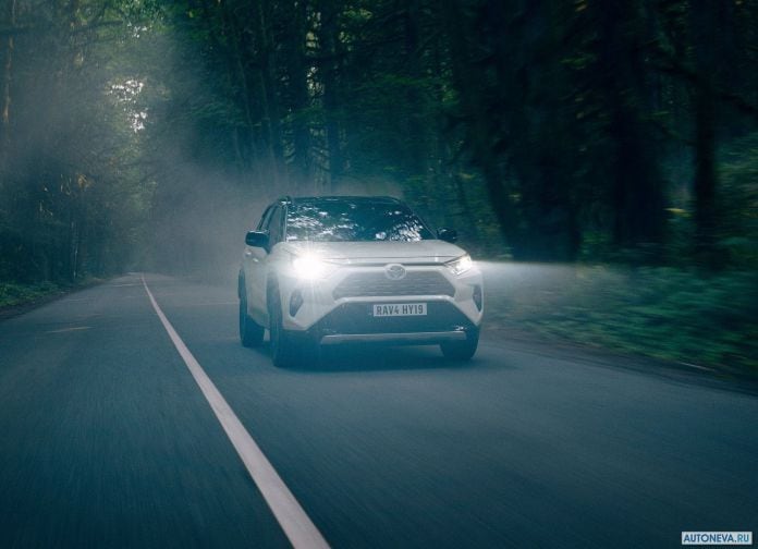 2019 Toyota RAV4 Hybrid EU-version - фотография 36 из 153
