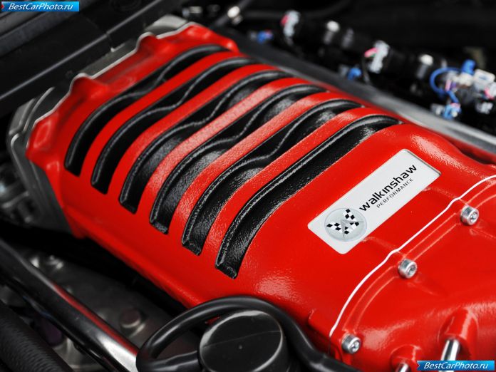 2009 Vauxhall Vxr8 Bathurst S - фотография 26 из 29