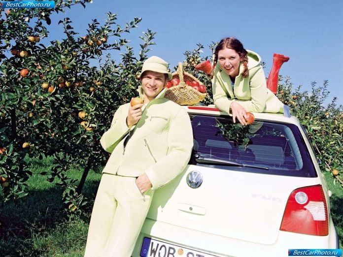 2005 Volkswagen Polo Fun - фотография 13 из 21
