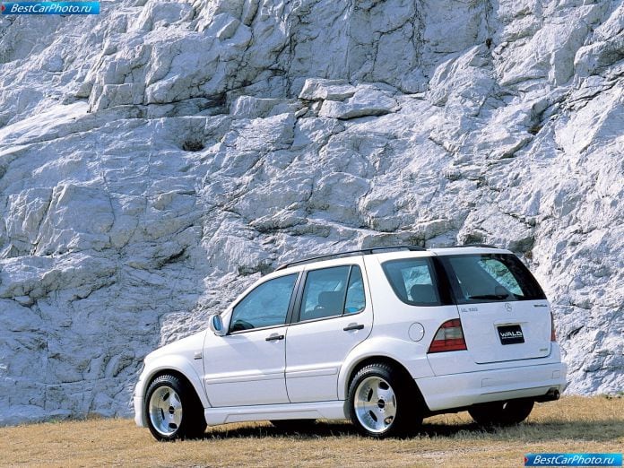 1999 Wald Mercedes-benz M-class - фотография 5 из 6