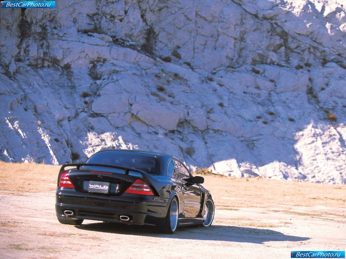 2001 Wald Mercedes-benz Cl-class Monster - фотография 11 из 21