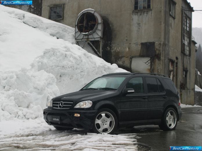 2003 Wald Mercedes-benz M-class - фотография 10 из 21