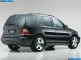 wald_2003-mercedes-benz_m-class_1600x1200_017.jpg