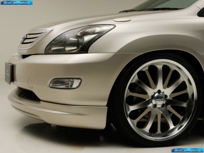 2004 Wald Lexus Rx - фотография 14 из 17