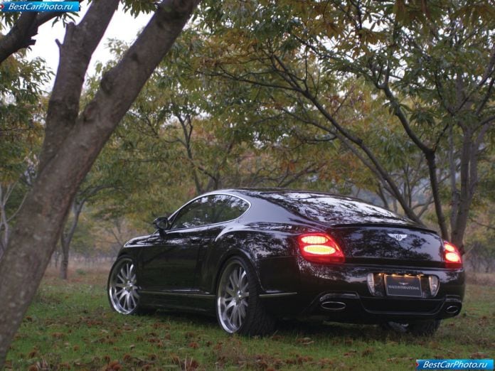 2006 Wald Bentley Continental Gt - фотография 2 из 11