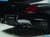 wald_2008-bentley_continental_gt_black_bison_1600x1200_009.jpg