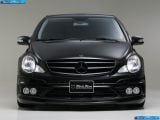 wald_2009-mercedes-benz_r-class_w251_1600x1200_008.jpg