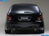 wald_2009-mercedes-benz_r-class_w251_1600x1200_009.jpg