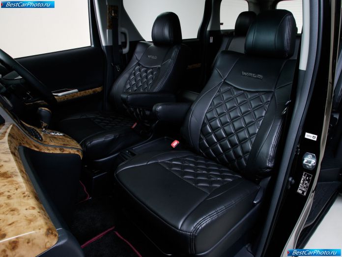 2009 Wald Toyota Alphard - фотография 13 из 21