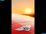 Ð¤Ð¾Ñ‚Ð¾Ð³Ñ€Ð°Ñ„Ð¸Ñ Ð°Ð²Ñ‚Ð¾Ð¼Ð¾Ð±Ð¸Ð»Ñ 2008 Bentley Continental GT Speed â„–062 Ð“Ð°Ð»ÐµÑ€ÐµÑ Ñ„Ð¾Ñ‚Ð¾Ð³Ñ€Ð°Ñ„Ð¸Ð¹ и обоев рабочего Ñтола Ñ Ð¸Ð·Ð¾Ð±Ñ€Ð°Ð¶ÐµÐ½Ð¸ÐµÐ¼ ÑкÑтерьера, интерьера, конÑтрукции и дизайнерÑких риÑунков Ð°Ð²Ñ‚Ð¾Ð¼Ð¾Ð±Ð¸Ð»Ñ 2008 Bentley Continental GT Speed.