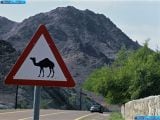 Ð“Ð°Ð»ÐµÑ€ÐµÑ Ñ„Ð¾Ñ‚Ð¾Ð³Ñ€Ð°Ñ„Ð¸Ð¹ Ð¸ Ð¾Ð±Ð¾ÐµÐ² Ñ€Ð°Ð±Ð¾Ñ‡ÐµÐ³Ð¾ ÑÑ‚Ð¾Ð»Ð° Ñ Ð¸Ð·Ð¾Ð±Ñ€Ð°Ð¶ÐµÐ½Ð¸ÐµÐ¼ ÑÐºÑÑ‚ÐµÑ€ÑŒÐµÑ€Ð°, Ð¸Ð½Ñ‚ÐµÑ€ÑŒÐµÑ€Ð°, ÐºÐ¾Ð½ÑÑ‚Ñ€ÑƒÐºÑ†Ð¸Ð¸ Ð¸ Ð´Ð¸Ð·Ð°Ð¹Ð½ÐµÑ€ÑÐºÐ¸Ñ… Ñ€Ð¸ÑÑƒÐ½ÐºÐ¾Ð² Ð°Ð²Ñ‚Ð¾Ð¼Ð¾Ð±Ð¸Ð»Ñ 2007 Mercedes-Benz Slr 722 Edition.